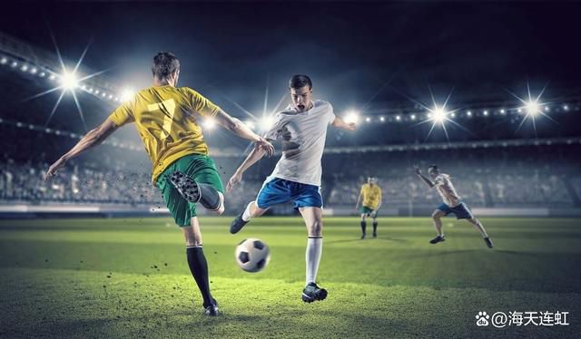 精品女同一区二区三区在线观看
