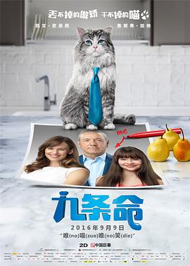 午夜寻花在线观看