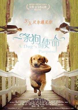 我妹妹的朋友