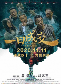 久久国产精品99久久久久久进口